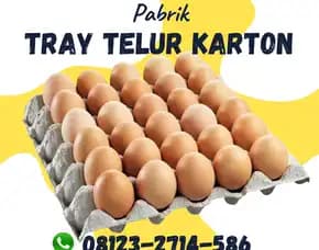 Papan Telur Kertas Nyaman Dipakai Pupuan Tabanan Bali (20)