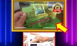 Obat Tulang Terasa Sakit Dan Ngilu Di Kota Palu