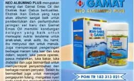 0812-1567-8455 Grosir Neo Albumino Plus Di Jambi