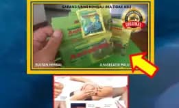 0878-8005-8622 Obat Kolesterol Herbal Apa Di Kota Palu