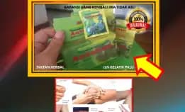 Wa: 0878-8005-8622 Obat Kolesterol Di Kota Palu