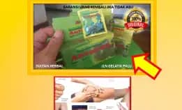 0878-8005-8622 Obat Asam Urat Yang Aman Untuk Ibu Hamil Di Apotik Di Kota Palu