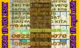 Link Khusus Bongkar Koin 082281886070