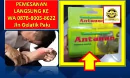 Obat Kolesterol Untuk Ibu Menyusui Di Kota Palu