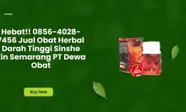 Hebat!! 0856-4028-7456 Jual Obat Herbal Darah Tinggi Sinshe Zin Semarang Pt Dewa Obat