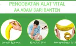 Pengobatan Terapi Vitalitas Pria Lampung Aa Adam Terbaik Wa 0856-6904-4498