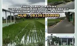 Tanah Sawah Strategis Utara Rm Iwak Kalen Godean Sleman Diy.Luas 1000m² Ld10 Tepi Jalan Aspal.H: 081