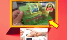 0878-8005-8622 Obat Asam Urat Kapsul Di Kota Palu