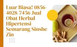 Luar Biasa! 0856-4028-7456 Jual Obat Herbal Hipertensi Semarang Sinshe Zin