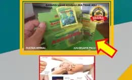 Wa: 0878-8005-8622 Obat Efektif Untuk Asam Urat Di Kota Palu