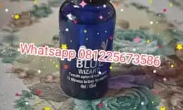 Pesan Lasung Di Antar 081225673586 Jual Blue Wizard Asli Di Kute Bali Cod