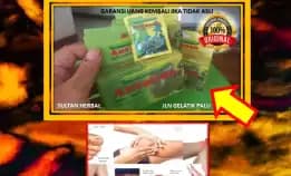 0878-8005-8622 Obat Badan Sakit Dan Ngilu Di Kota Palu